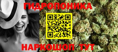 гидра Малгобек