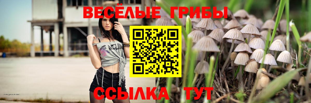 наркошоп  Вход с VPN  Заводоуковск  Псилоцибиновые грибы мицелий 